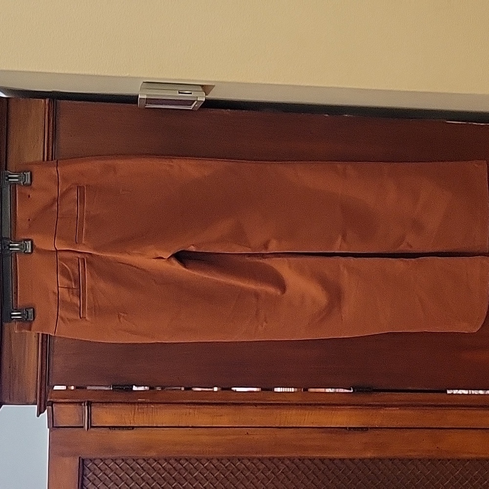 Dear Scarlett | Magic Straight Slim Pull On Pants in Rust - Size Small - Picture 4 of 9